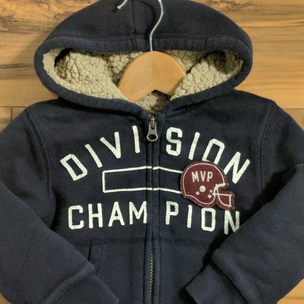 The Children's PLACE zippered hoodie fleece lined